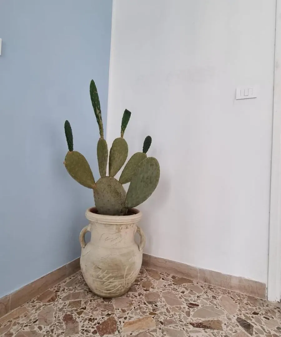 Il Fico D'India Apartment Marsala