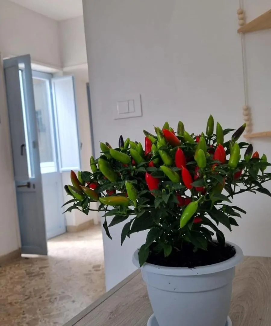 Appartamento vacanze Piazza del Popolo Marsala